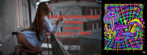 бутират Бородино